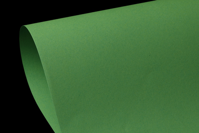 Creative Print (100% Recycled) - Green Apple
